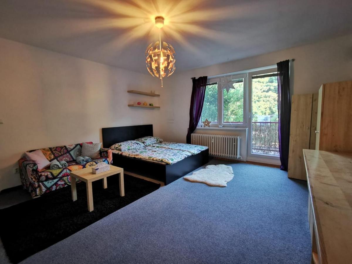 Cely Apartman Podlesi 54M2 S Dvema Balkony A S Novou Manzelskou Posteli, Zatim Neni Na Fotkach Διαμέρισμα Μπρνο Εξωτερικό φωτογραφία